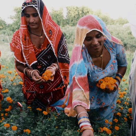 Redefining collective action in Rajasthan and beyond